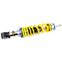 Rear shock absorber.