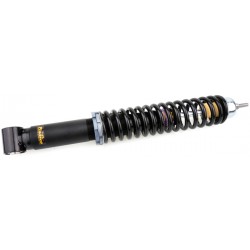 Rear shock absorber.