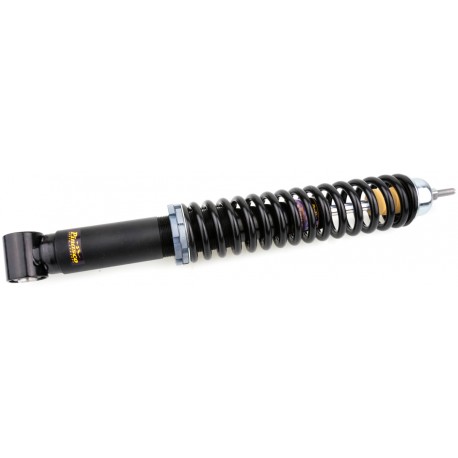 Rear shock absorber.