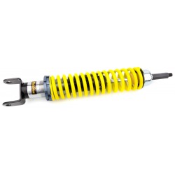 Rear shock absorber.