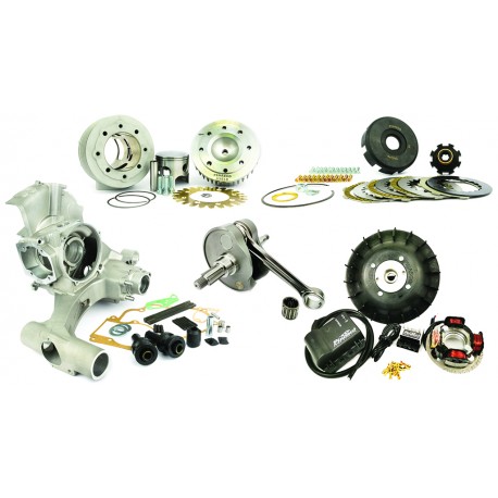 Kit moteur maître 251cc