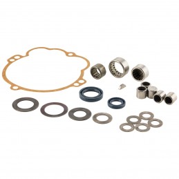 Rear hub overhaul kit with variator for Ciao-Si-Bravo