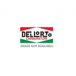Fuel filter for Dellorto SI carburettor