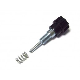 Gas valve adjustment screw kit for Dellorto PHVA carburetor