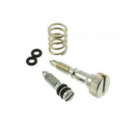 DELLORTO Carburetor Screw Kit