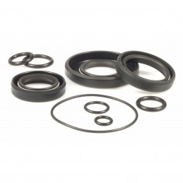 Engine oil seal kit