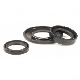 Engine oil seal kit