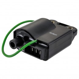 244127 - 214417 Elektronische Steuereinheit RMS