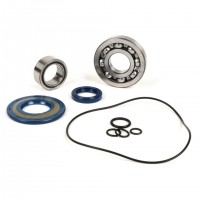 Vespa Large Frame bearings and spare parts oil seals