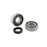Oil seals, bearings and spare parts