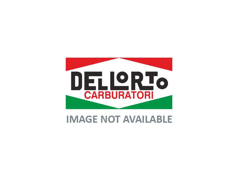 Filtro benzina per carburatore Dellorto SI