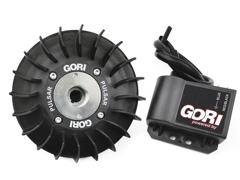 Accensione Elettronica Variabile "GORI PULSAR" 12V Cono Piccolo.