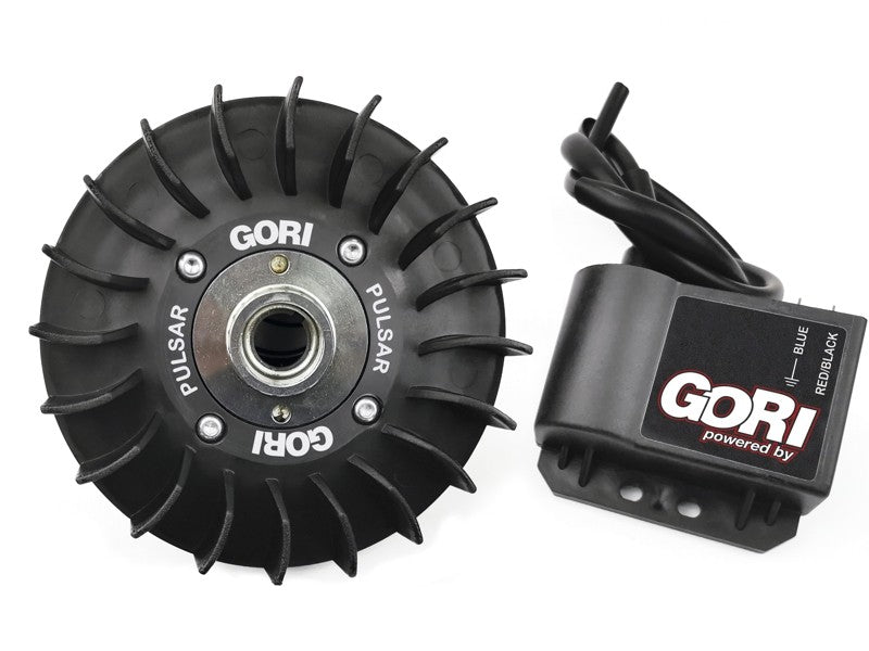 Accensione Elettronica Variabile "GORI PULSAR" 12V Cono Grande.