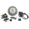 Accensione Flytech Touring 1,9Kg Rally 180, Rally 200 Femsa